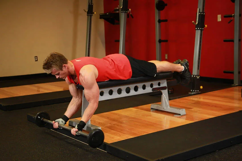 Lying High Bench Barbell Curl Lying High Bench Barbell Curl