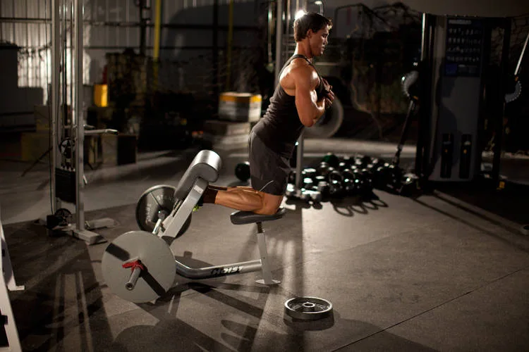 Natural Glute Ham Raise