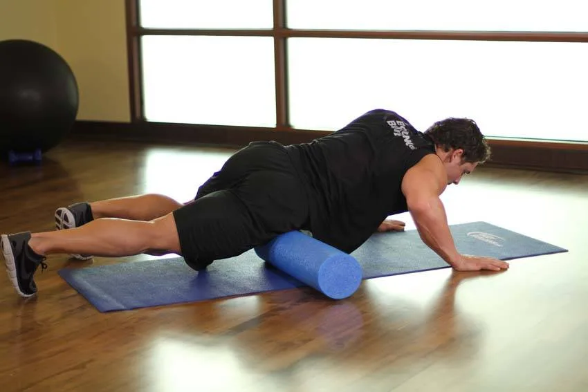 Quadriceps-SMR Quadriceps-SMR