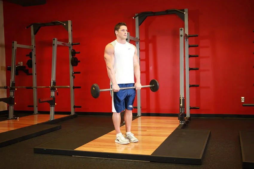 Reverse Barbell Curl Reverse Barbell Curl