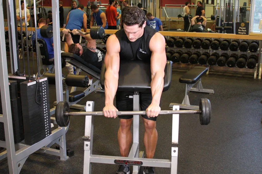 Reverse Barbell Preacher Curls Reverse Barbell Preacher Curls