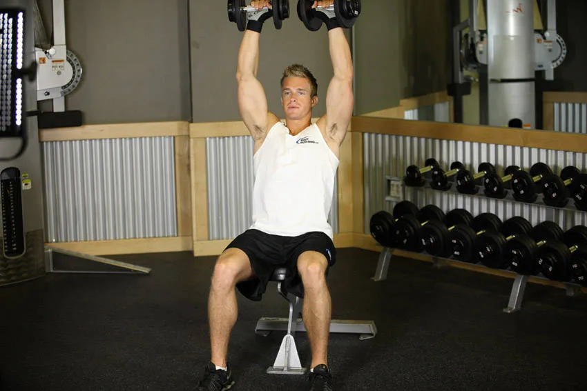 Seated Dumbbell Press Seated Dumbbell Press