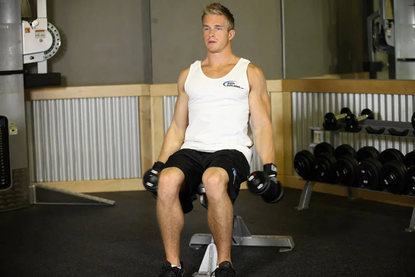 Seated Side Lateral Raise Seated Side Lateral Raise