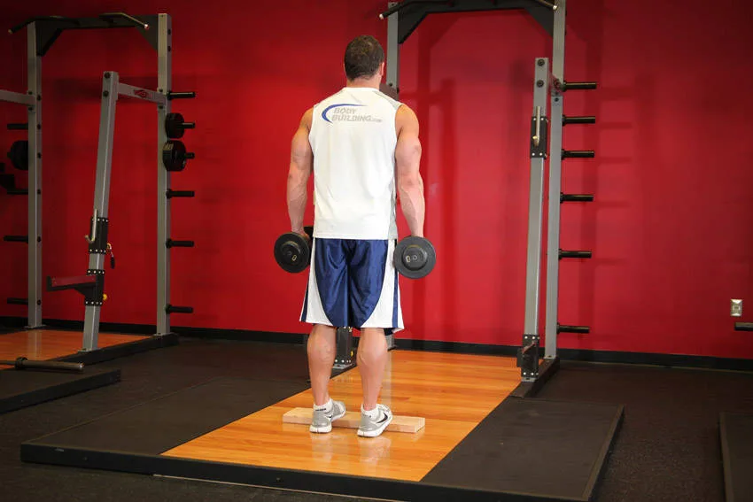 Standing Dumbbell Calf Raise Standing Dumbbell Calf Raise