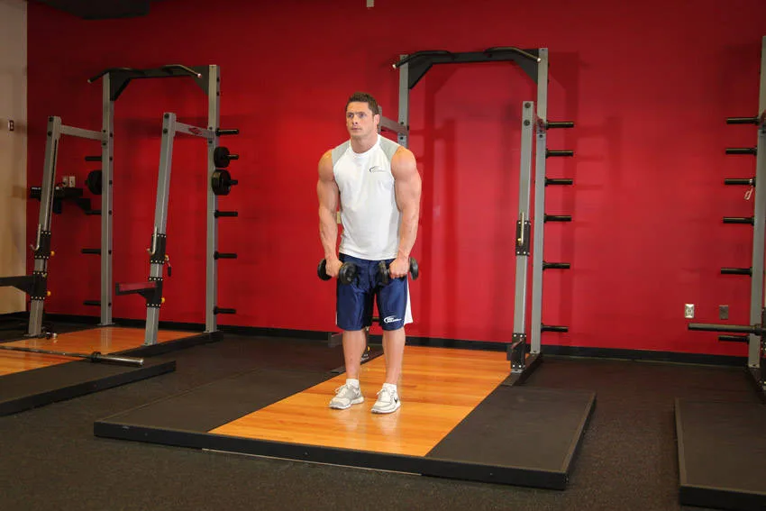 Standing Dumbbell Straight-Arm Front Delt Raise Above Head Standing Dumbbell Straight-Arm Front Delt Raise Above Head