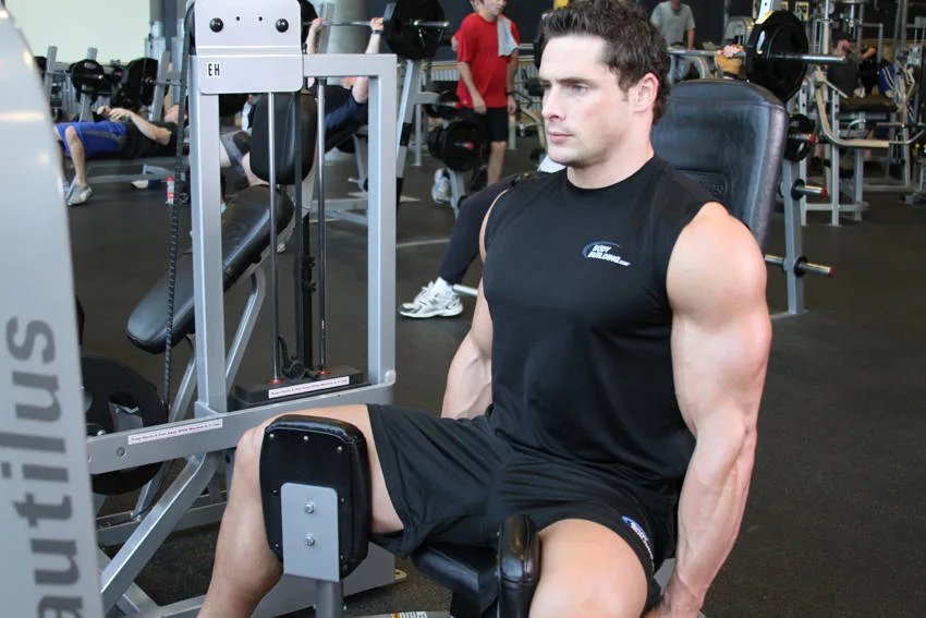 Thigh Adductor Thigh Adductor