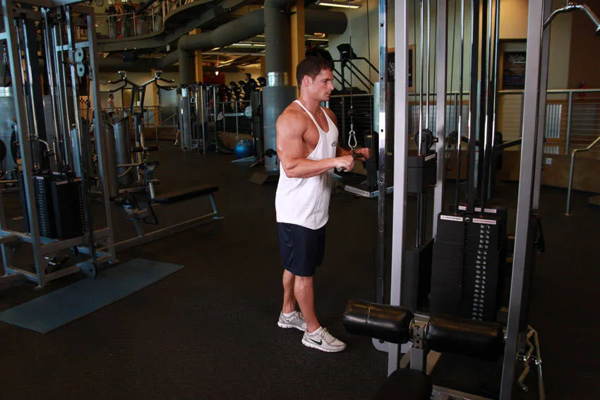 Triceps Pushdown